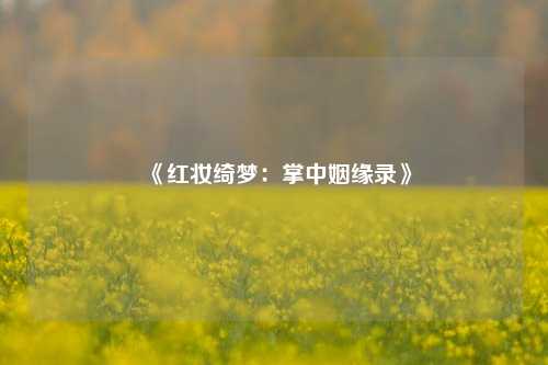 《红妆绮梦：掌中姻缘录》