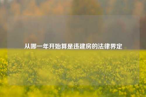 从哪一年开始算是违建房的法律界定