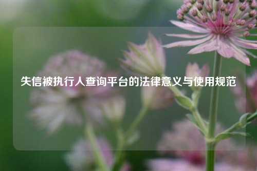 失信被执行人查询平台的法律意义与使用规范
