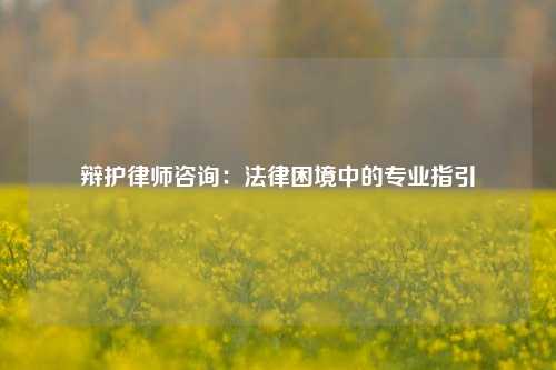 辩护律师咨询：法律困境中的专业指引