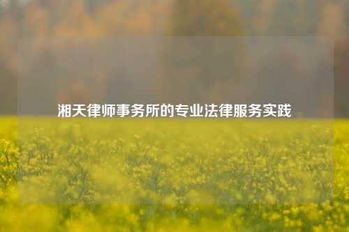 湘天律师事务所的专业法律服务实践