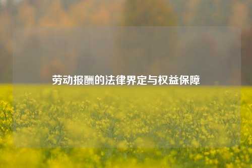劳动报酬的法律界定与权益保障
