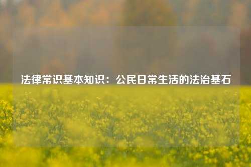 法律常识基本知识：公民日常生活的法治基石