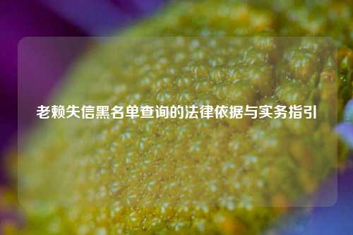老赖失信黑名单查询的法律依据与实务指引