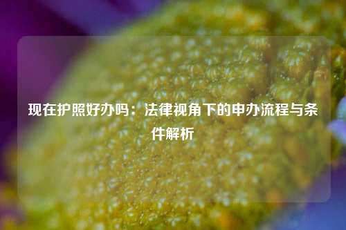 现在护照好办吗:法律视角下的申办流程与条件解析