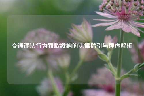 交通违法行为罚款缴纳的法律指引与程序解析