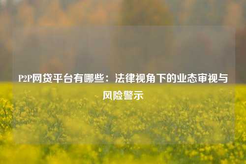 P2P网贷平台有哪些：法律视角下的业态审视与风险警示