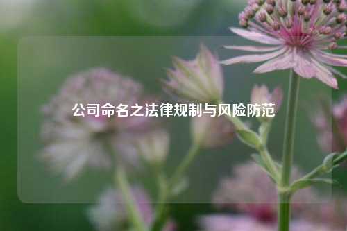公司命名之法律规制与风险防范
