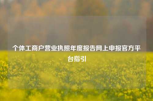 个体工商户营业执照年度报告网上申报官方平台指引